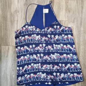 Express Barcelona Cami